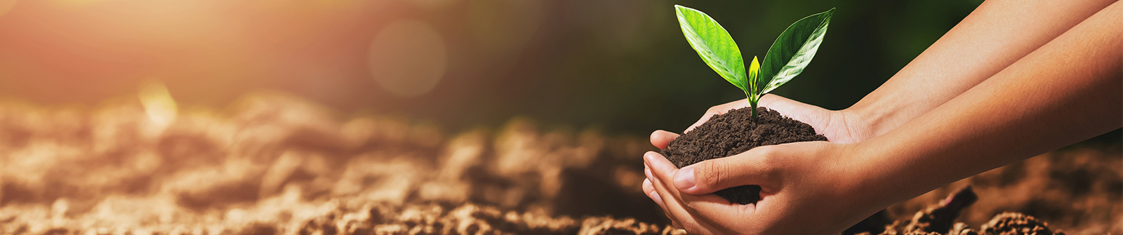 Sustainability and ESG