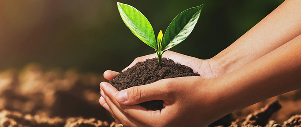 CAC Sustainability and ESG