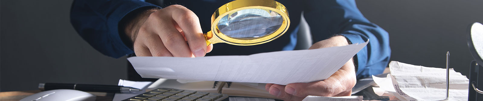 Forensic & Fraud Investigations