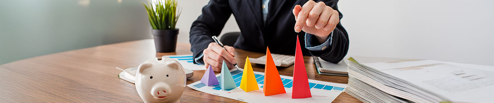 Performance Improvement Services